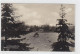39012606 - Wildwiese Im Stadtpark In Landsberg A. D. W. / Gorzów Wielkopolski Gelaufen 1931. Leichter Stempeldurchdruck - Polen