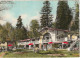 LE 3-(85) FORET DE MERVENT - HOSTELLERIE DE PIERRE BRUNE - LA TERRASSE - CARTE COULEURS - 2 SCANS - Andere & Zonder Classificatie