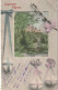 LE 6- JOYEUSES  PAQUES - CARTE FANTAISIE -TABLEAU CHAMPETRE AVEC DECORATION D' OEUFS - 2 SCANS - Easter