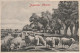 LE 6- JOYEUSES  PAQUES - TROUPEAU DE MOUTONS PAISSANT - 2 SCANS - Pâques