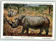 39292906 - Nr. 24  Museum Royal Histoire Naturelle De Belgique - Sonstige & Ohne Zuordnung