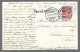 Cachet Ambulant N°1 Du 30/12/1907 + Marque Linéaire Genève Sur Carte Illustrateur (13596) - Storia Postale