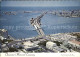 12600815 Clearwater_Florida Clearwaters Memorial Causeway  - Andere & Zonder Classificatie