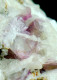 Delcampe - Mineral - Fluorite Rosa Su Barite (Is Murvonis, Domusnovas, Iglesias, Sardegna, Italia) - Lot. 1167 - Mineralien