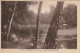 LE 23 -(91) MENNECY - LA PECHE A L' ETANG - CAMPEMENT DU PECHEUR - 2 SCANS - Mennecy