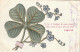 HO Nw (3) " SI J' AI LE BONHEUR .... DESIR  " - CARTE FANTAISIE GAUFREE - TREFLE ET MYOSOTIS - POEME E. LEGOUVE 2 SCANS - Neujahr