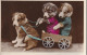 HO Nw (5) ATTELAGE AVEC CARRIOLE ET COUPLE DE CHIOTS HUMANISES - 2 SCANS - Dressed Animals