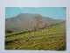 Delcampe - PAYS BASQUE (dept 64)  42 Cartes  A 0.20 Euros L'une - Andere & Zonder Classificatie