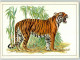 39527006 - Bengaltiger Sign. Reiner Ziger - Andere & Zonder Classificatie