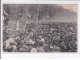 PERPIGNAN: La Manifestation Viticole 19 Mai 1907, Groupement Des Manifestants Aux Plantanes - Très Bon état - Perpignan