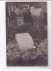 ASNIERES: Carte Photo, Cimetière Des Chiens - Très Bon état - Asnieres Sur Seine