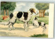 39649806 - Barsoi - Dogs
