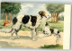 39649806 - Barsoi - Chiens