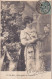 LE 28- " FLEURISSEZ MESDAMES " - SERIE DE 9 CARTES  - FLEURISTE ET LANGAGE DES FLEURS - OBLITERATION 1904 - Fleurs