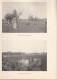 Delcampe - 34 MONTPELLIER ALBUM ECOLE NATIONALE D'AGRICULTURE 1895 1898 COMPLET - Montpellier