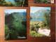 GEIRANGER - Norway - Lot Of 8 Uncirculated Postcards, Animated, With Ships - Norwegen