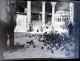 LOT Photographies Istanbul Négatifs Turquie Constantinople Bosphore 1909 - Orte