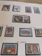 Delcampe - Europa CEPT 1956 - 2001 Complete MNH Postfris ** In 4 Albums** - Verzamelingen (in Albums)