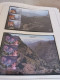 Delcampe - Europa CEPT 1956 - 2001 Complete MNH Postfris ** In 4 Albums** - Collections (en Albums)