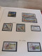 Delcampe - Europa CEPT 1956 - 2001 Complete MNH Postfris ** In 4 Albums** - Collections (with Albums)