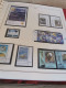 Delcampe - Europa CEPT 1956 - 2001 Complete MNH Postfris ** In 4 Albums** - Collections (with Albums)