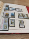 Delcampe - Europa CEPT 1956 - 2001 Complete MNH Postfris ** In 4 Albums** - Collections (with Albums)