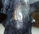 Delcampe - Sculpture: Chiens/ Sculpture: Dogs/ Sculptuur: Honden/ Skulptur: Hunde - Other & Unclassified