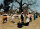 Senegal  DAKAR Le RDV Des éleveurs  17    (scan Recto-verso)MA2008Ter - Sénégal