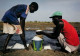 GUINEE  Marais Salants De TENEPLAN Zone De DOUPROU  9    (scan Recto-verso)MA2008Ter - Guinea Francesa