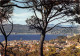 SAINT TROPEZ Vue D Ensemble Sur Le Centre De La Ville Le Golfe Et Sainte Maxime 30(scan Recto-verso) MA2007 - Saint-Tropez