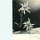 Fleurs Lot De 18 Cartes    1   (scan Recto-verso)MA2007Bis - Blumen