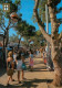 ARGELES L'allée Jules Aroles   16   (scan Recto-verso)MA2031Bis - Argeles Sur Mer