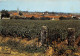 NUITS SAINT GEORGES Vue Generale Au Premier Plan Les Celbres Vignobles 28(scan Recto-verso) MA2045 - Nuits Saint Georges