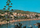 COLLIOURE   Plage Du Faubourg 11   (scan Recto-verso)MA2048Bis - Collioure