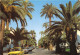 HYERES LES PALMIERS 1(scan Recto-verso) MA2062 - Hyeres