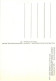 BALE HANS HOLBEIN Bildis Des Dorothea Kannengiesser  KUNSTMUSEUM BASEL  7  (scan Recto-verso)MA2058Bis - Autres & Non Classés