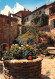 BORMES LES MIMOSAS Vieux Puits Fleuri 10(scan Recto-verso) MA2095 - Bormes-les-Mimosas