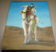 Chameau/ Camel, Assiraj - Oils