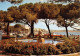 CANNES Le Jardin Public La Croisette 2(scan Recto-verso) MA2116 - Cannes