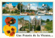 Une PENSEE De La VIENNE  50   (scan Recto-verso)MA2166Ter - Poitiers