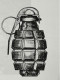 Delcampe - GRENADE F1 MODELE 1915 - 1914-18