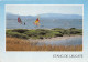 Etang De LEUCATE 14(scan Recto-verso) MB2347 - Leucate