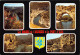 Les Gorges De L Ardeche Et Le Pont D Arc 27(scan Recto-verso) MB2376 - Altri & Non Classificati