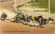 Dog Racing - Hunde