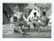 Photo Ancienne / Camping / Homme Torse Nu Et Femmes En Maillot De Bain En Pause-café Devant La Tente - Monténégro 1971 - Automobiles
