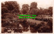 R543946 Dell. Hyde Park. London. 92. RP. 1933 - Sonstige & Ohne Zuordnung