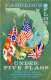 73949460 Florida__US-State Fabulous Florida Under Five Flags - Other & Unclassified