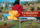 73607293 Torquay UK Floral Town Gardens Torquay UK - Sonstige & Ohne Zuordnung