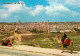 73591096 Jerusalem Yerushalayim Altstadt Blick Vom Olivenberg Camelreiter Jerusa - Israel