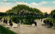 73588855 New_York_City Bridle Path Central Park - Autres & Non Classés